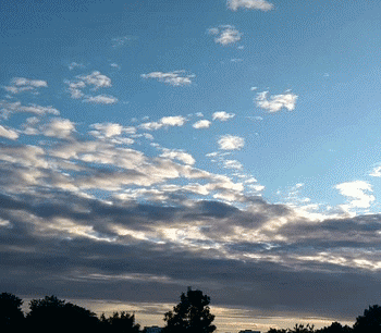 Kwoon - Alive Image 1